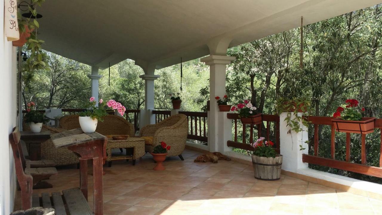 Maravilla Loiri Porto San Paolo Dış mekan fotoğraf