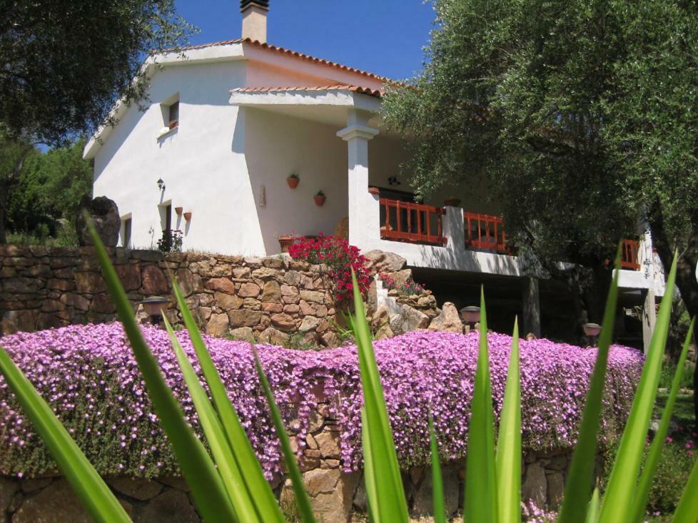 Maravilla Loiri Porto San Paolo Dış mekan fotoğraf